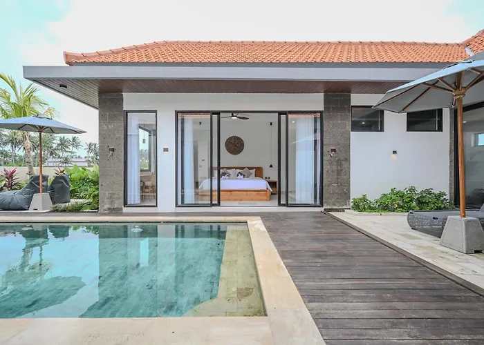 Villa Lily Soca *