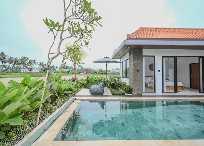 Villa Lily Soca *