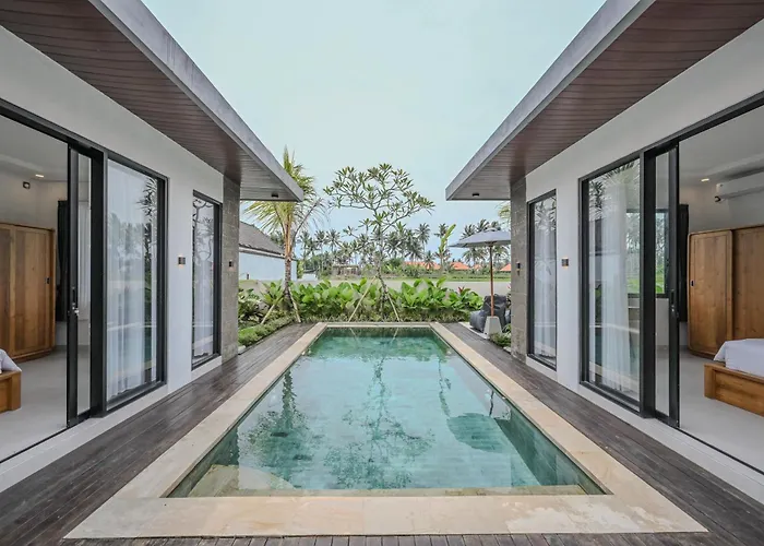 Villa Lily Soca *