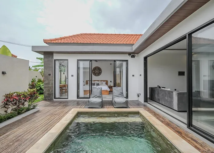 Villa Lily Soca *
